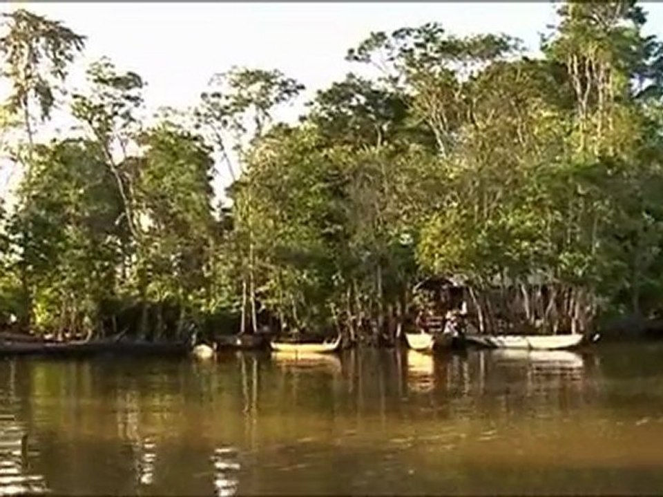FILM TB VIH GUYANE
