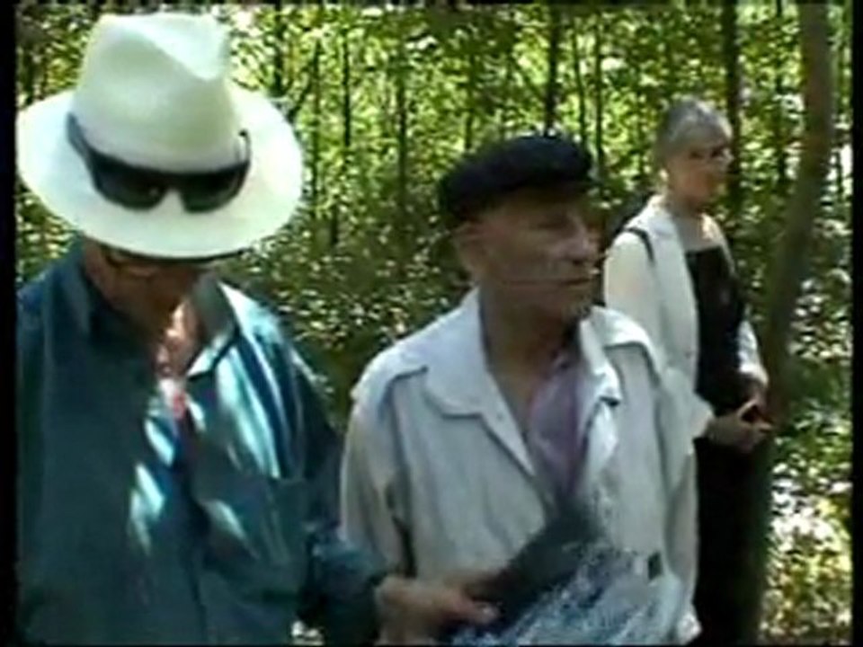 A LA RECHERCHE DES BERGERS DE VINCENNES