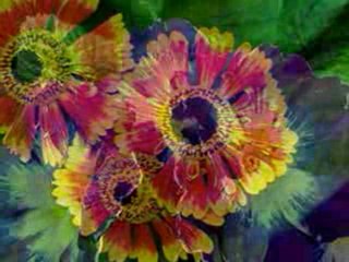 BİRİNİ ARIYORUM FERDİ TAYFUR