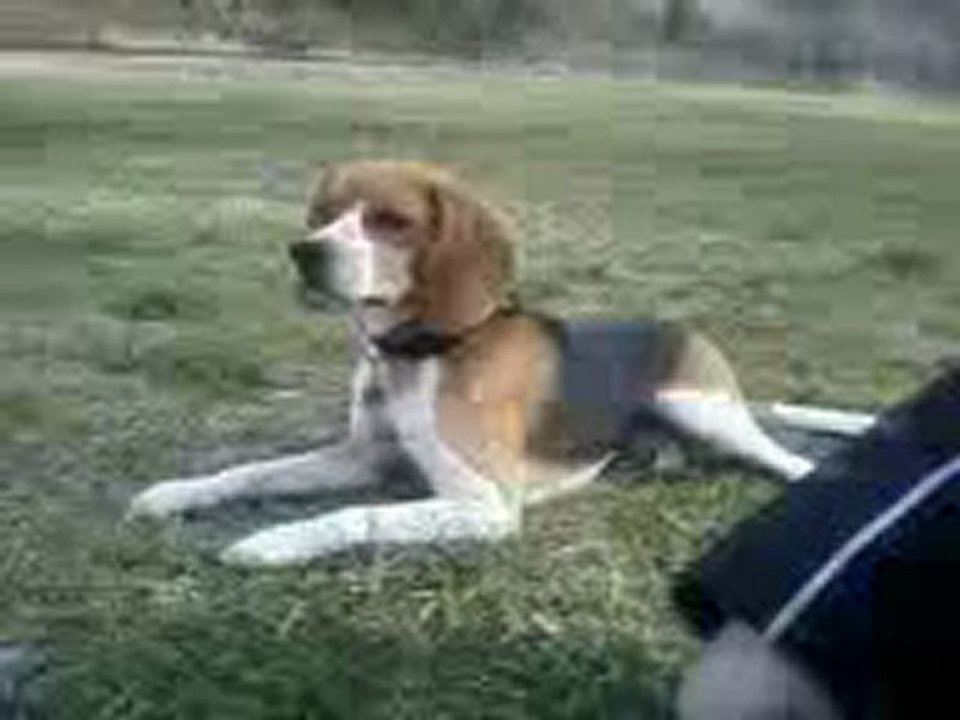 Vidéo-0010
