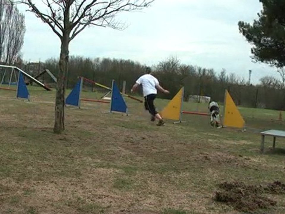 agility entrainement atelier