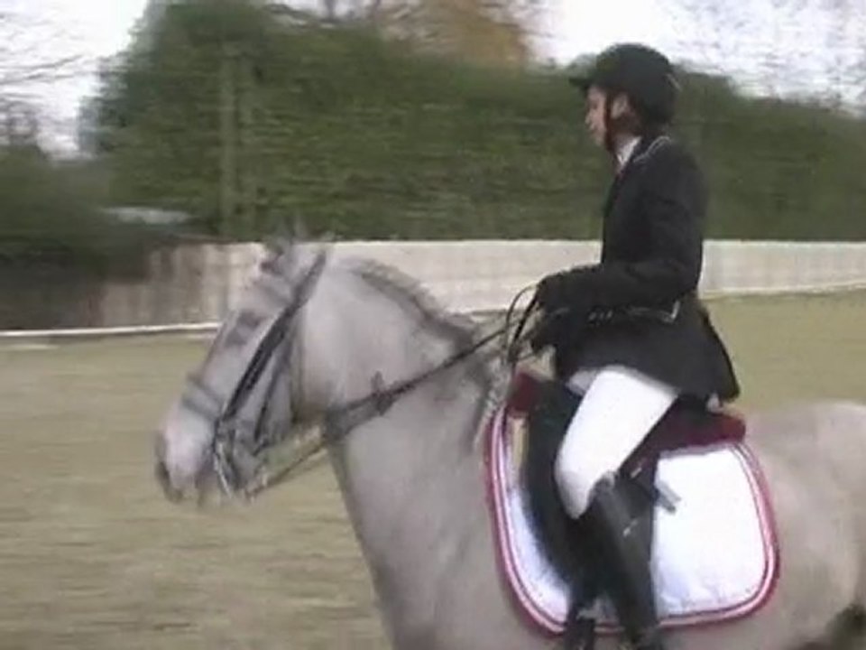 Dressage Nantouillet part 2