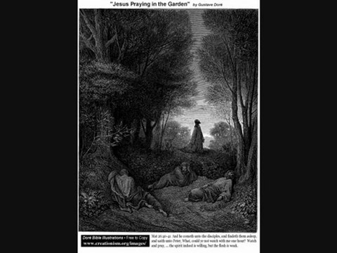 Anaphora (5th Sun. GL)