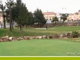 Clases de Golf y Cursos de Golf Gratis en Video (WiseCaddy)