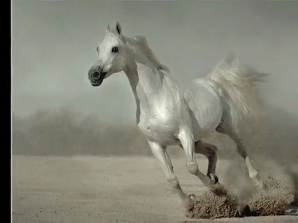 REDNEX - Cotton Eyed Joe Dance mix