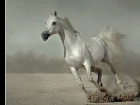 REDNEX - Cotton Eyed Joe Dance mix