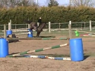 Séance du 25 Mars 2010