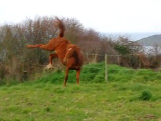 Mélisse et Elue Ralentit