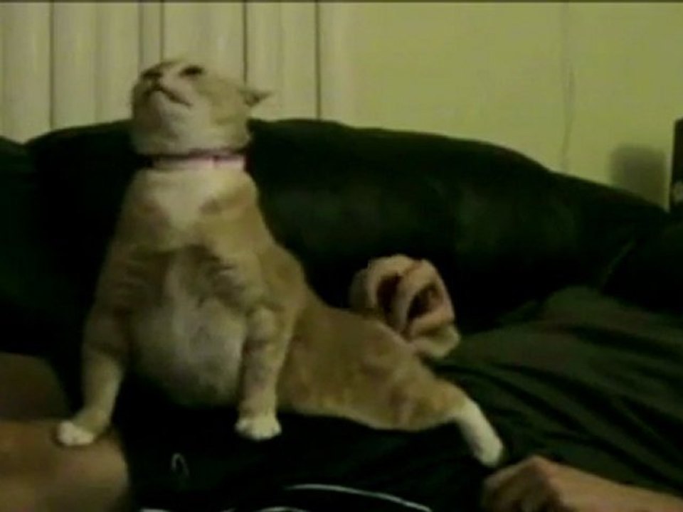 Chat Trolololo