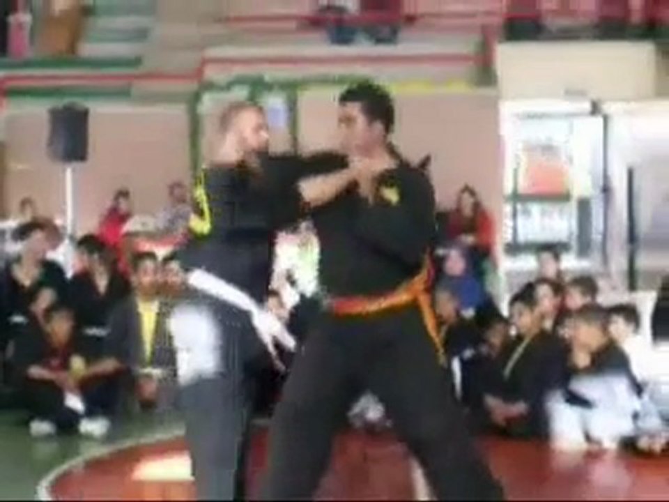 stage 8.wmv