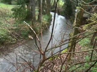 La Seymaz en amorce de crue ce matin vers 09h00 !!