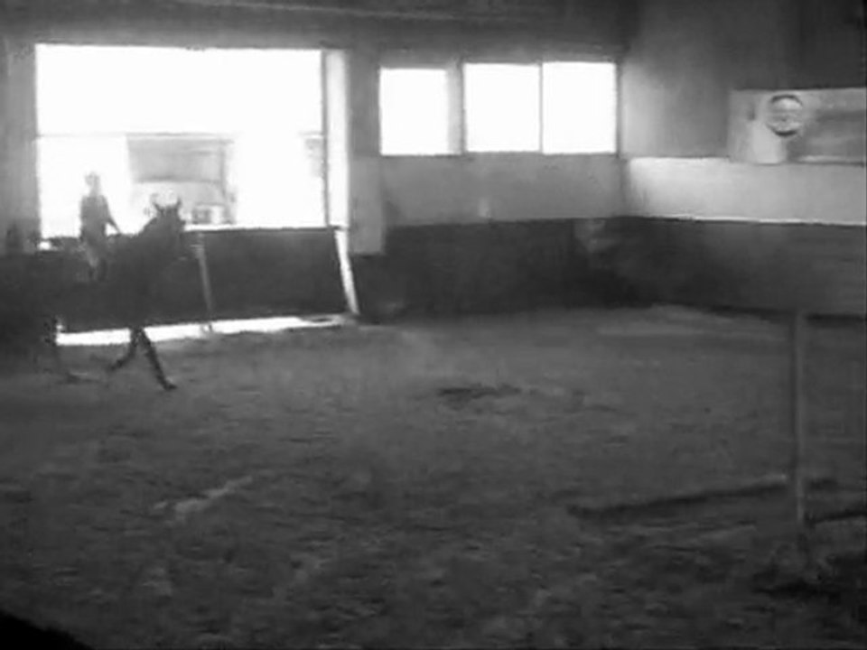 negaton des vergers ♥