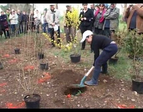 Printemps en musique