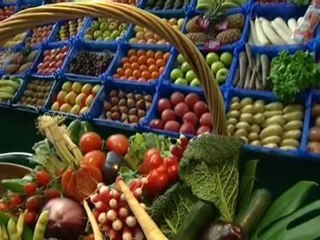 Reportage sur les allergies alimentaires en restauration