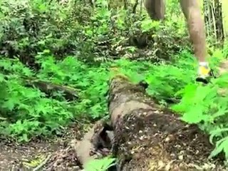 Columbia Sportswear's Ravenous Trail Running Shoe