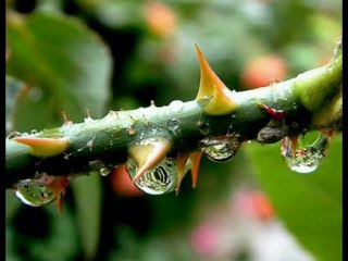 i agapi moy ena vradi