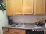 Oakwell Springs Apartments in San Antonio, TX - ForRent.com
