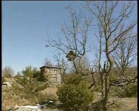 Extrait la grive et ses chasses traditionnelles partie 1