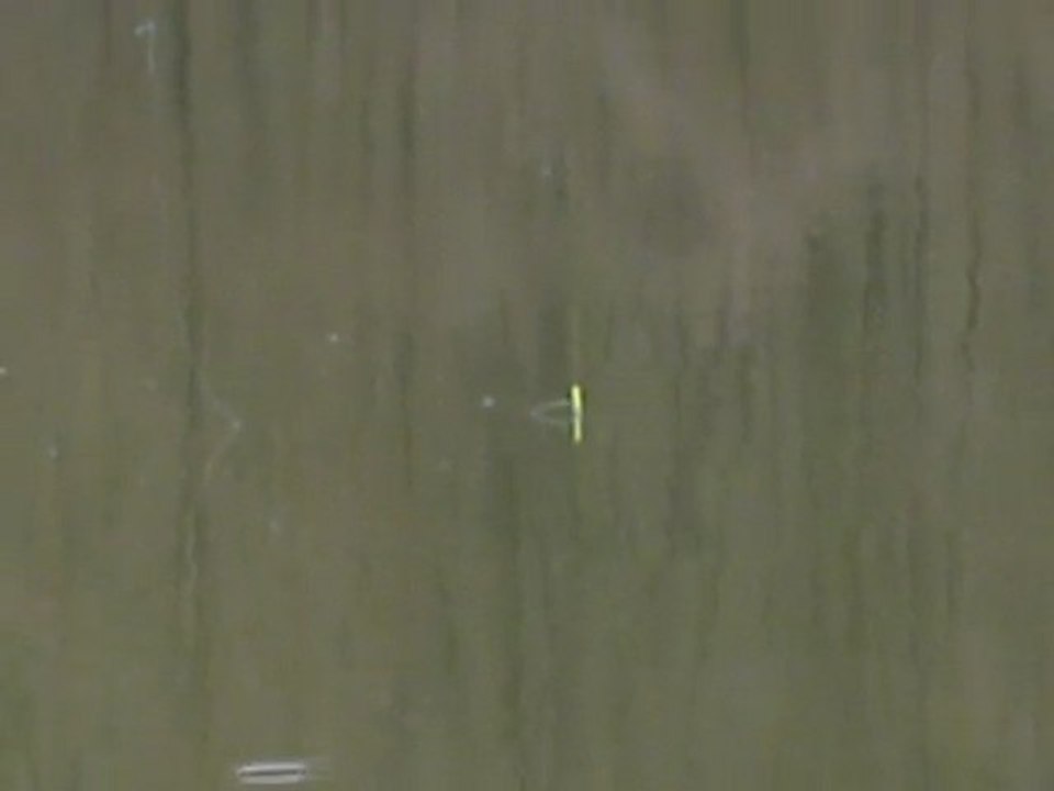 P1060339