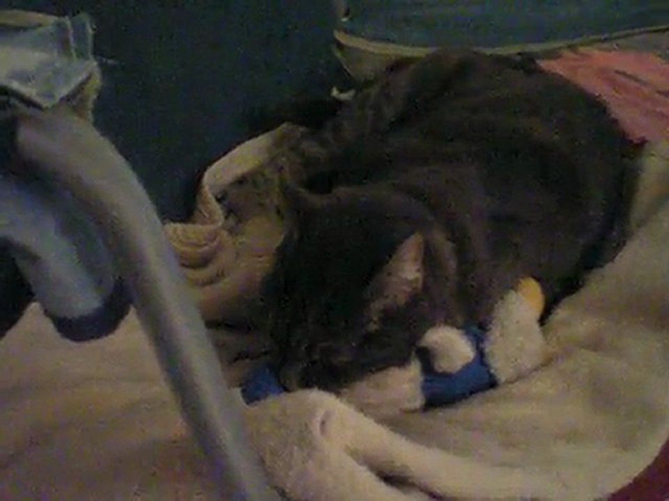 Mystique et son daffy duck