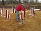 Agility, les premiers cours