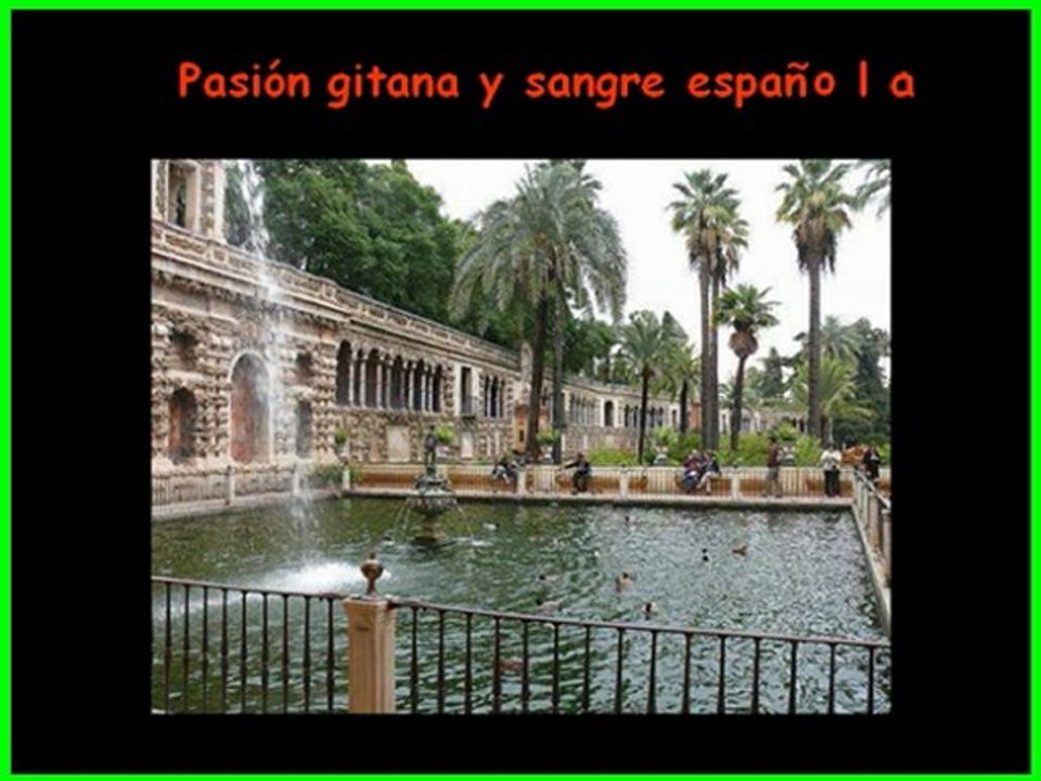 Pasión gitana, sangre española...