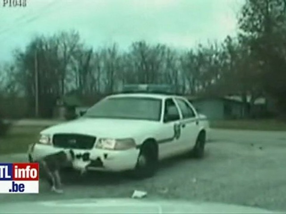 chien qui attaque une voiture de police