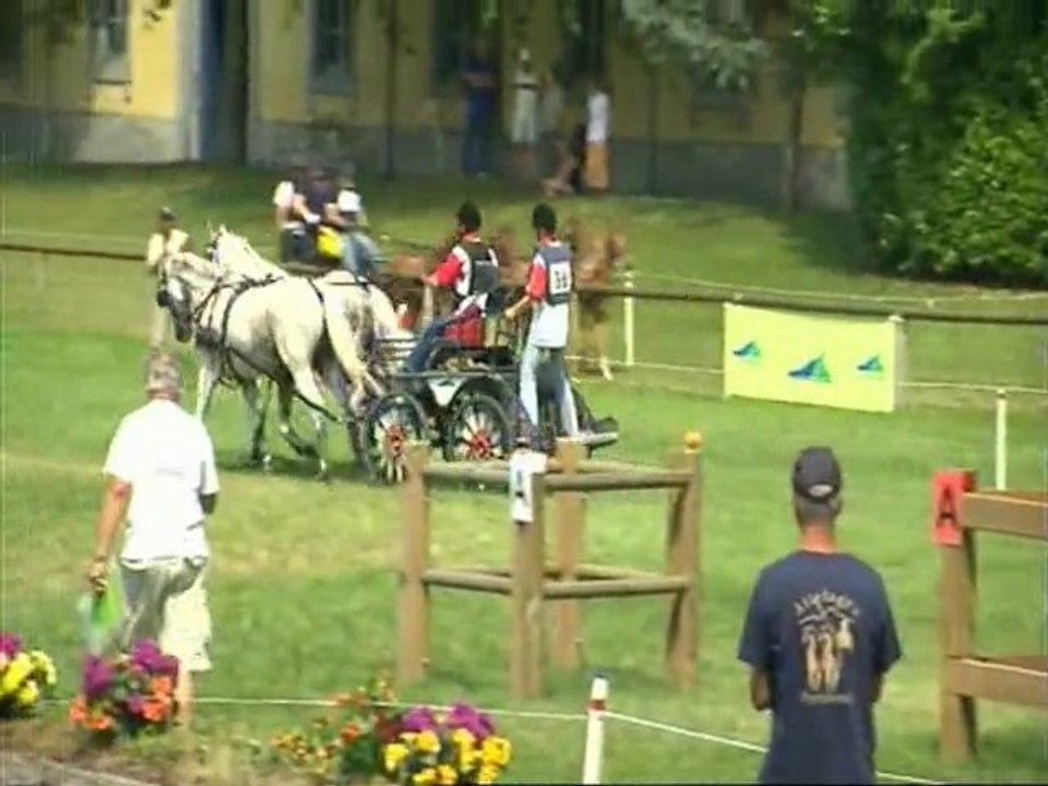 concours d'attelage en Haute-Pyrénées