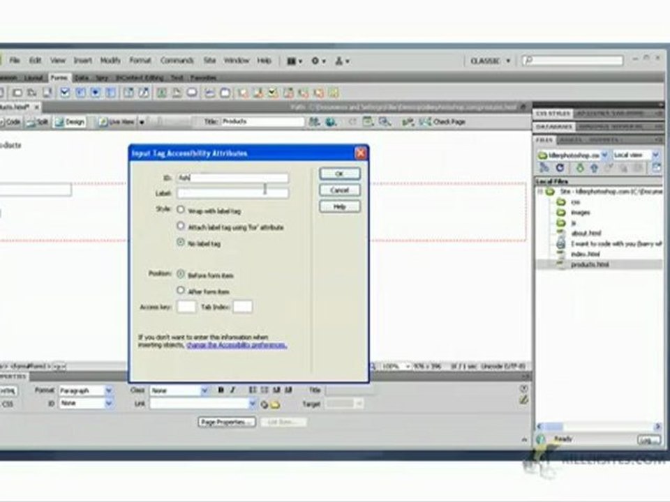 Dreamweaver CS4 Basics - Creating HTML Forms part 1