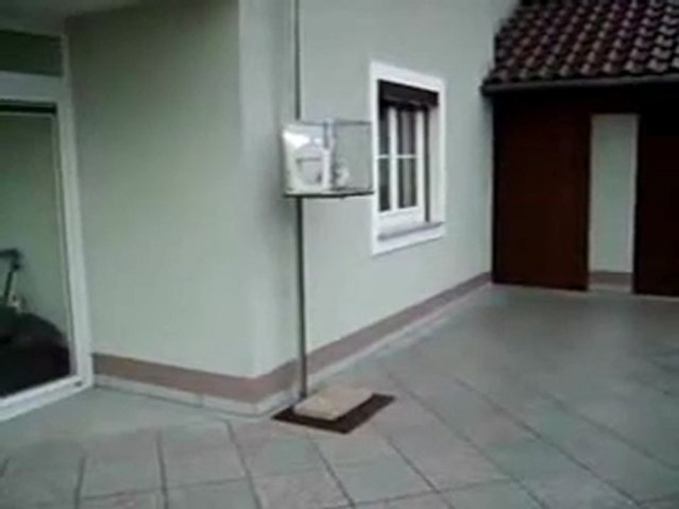 Cat Elevator