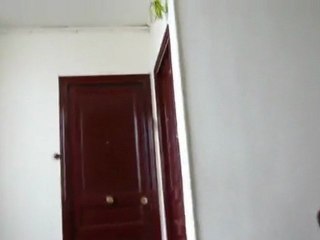 Appart rue paul albert 02