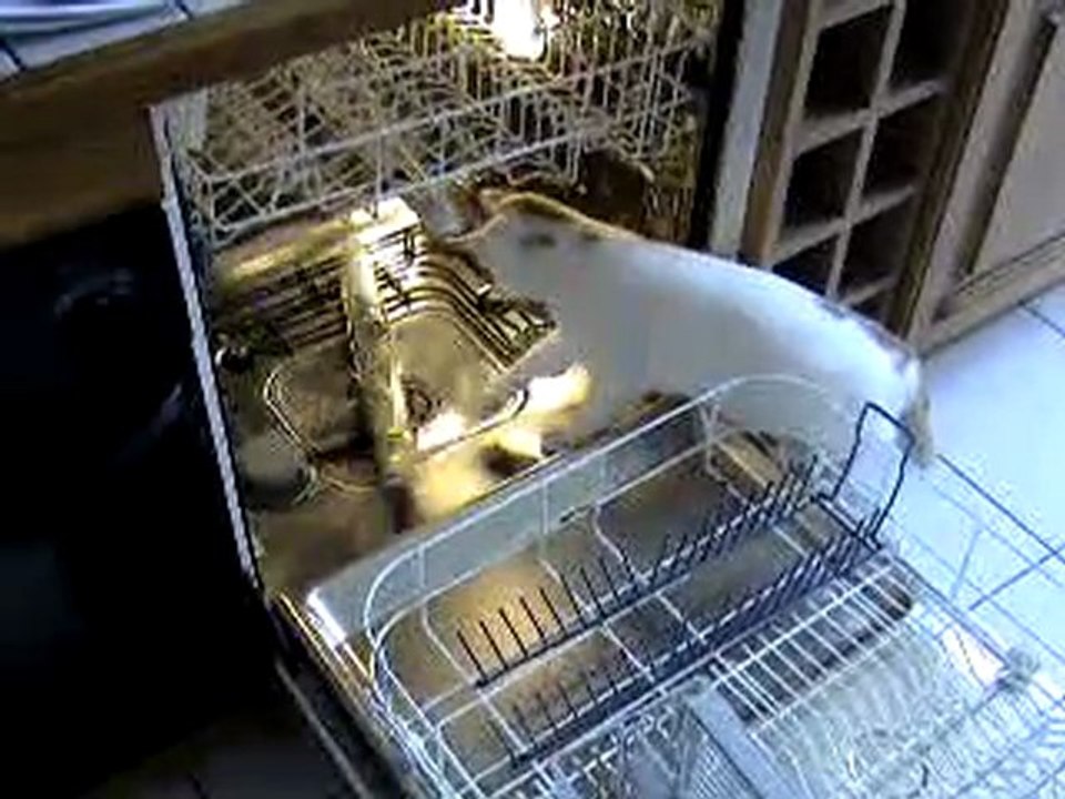 MOV00056