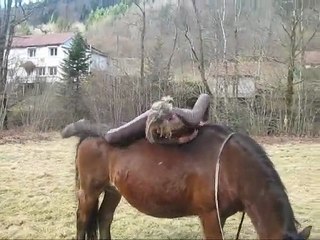 Manon&Alyzée&Ophelie!