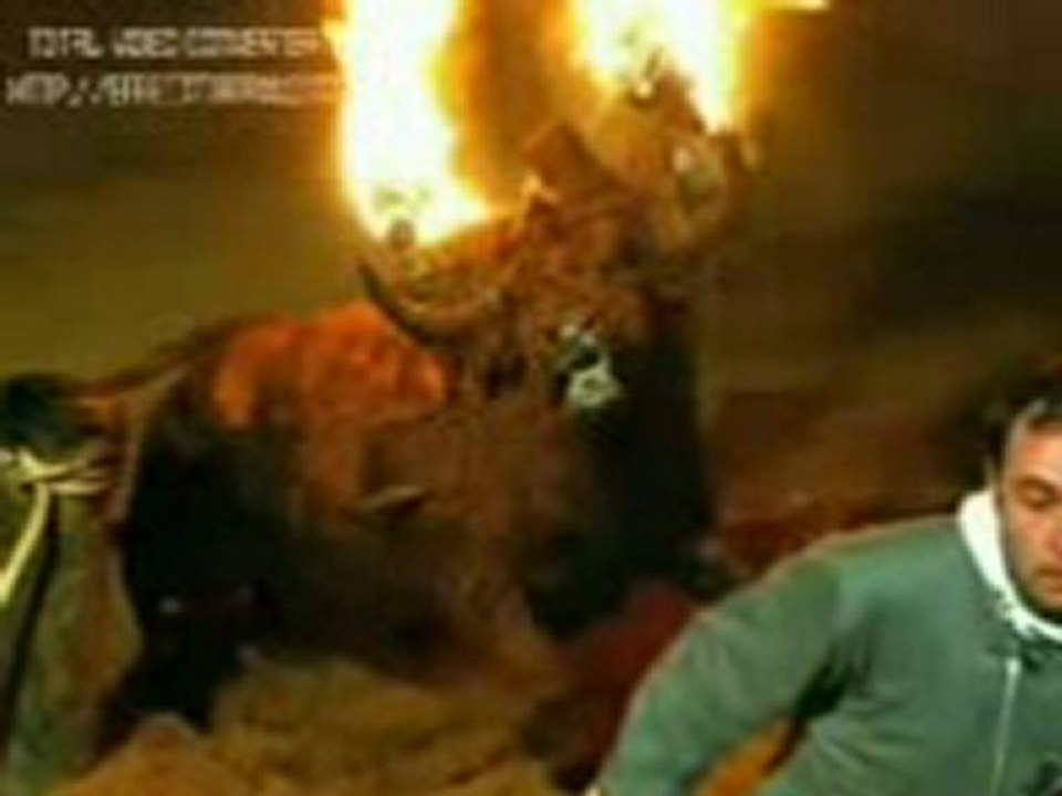 derechos animales!! no al maltrato animal basta!!