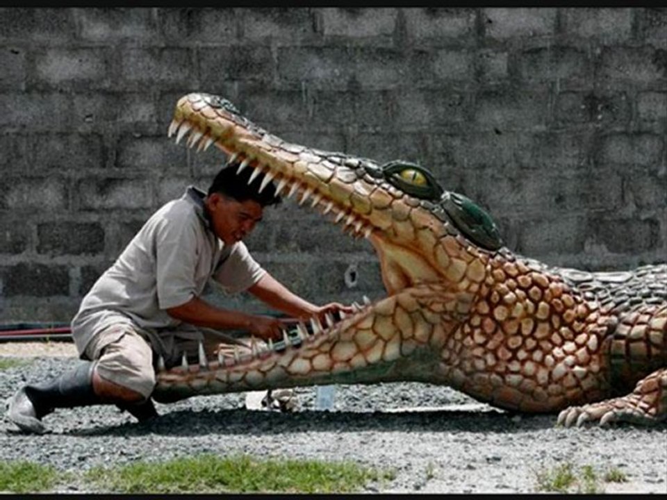 les crocodiles