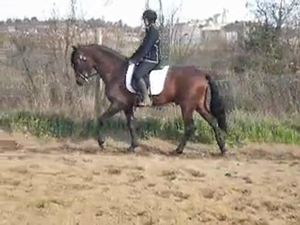 video negro 001