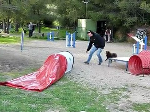 1 04 2010 entraînement agility