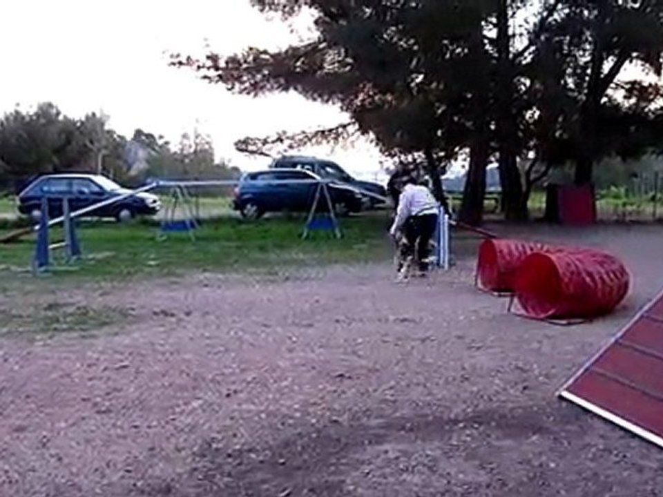 1 04 2010 entraînement agility