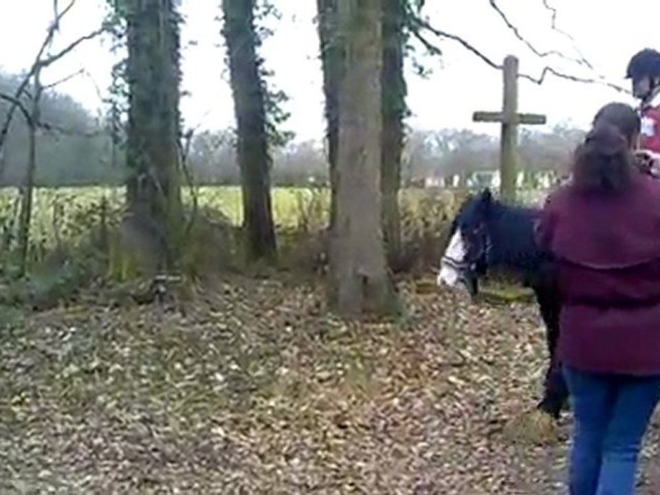 les irish cob en ballade rodney et john