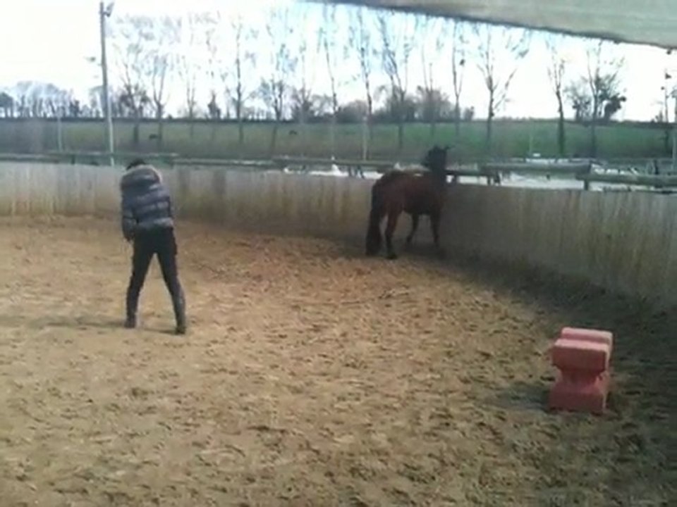 Tornado - séance en liberté du 1 Avril 2010