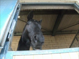 mon petite Filou d'amour<3