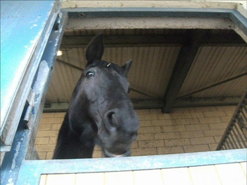 mon petite Filou d'amour<3