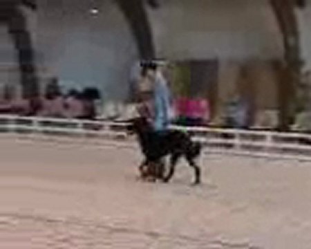 1 ER CONCOUR D OBE RYTHMEE A COMPIEGNE