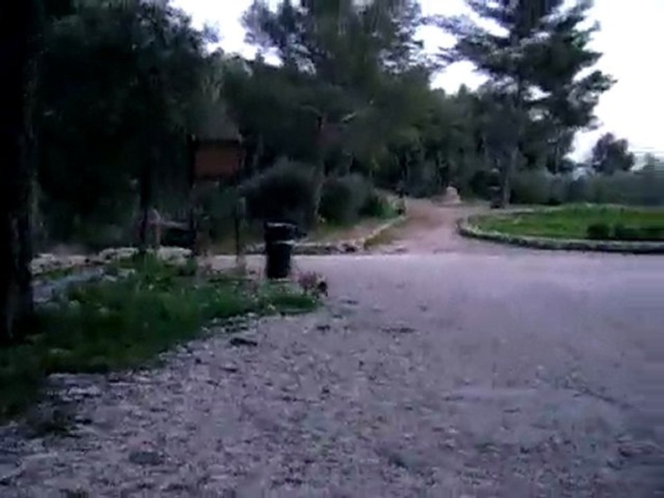 la grande cabane