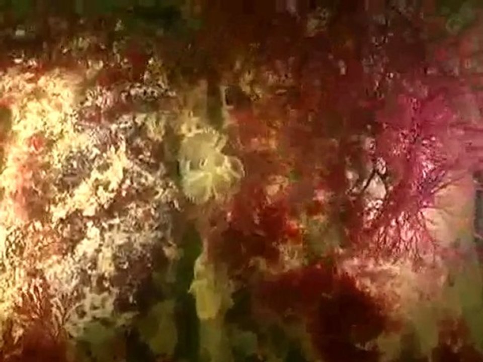 Plongée à Cherbourg, Les Etoupes