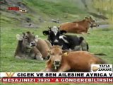 BAŞÇİFTLİK DERNEĞİ  EKİN TV PROGRAMI -2