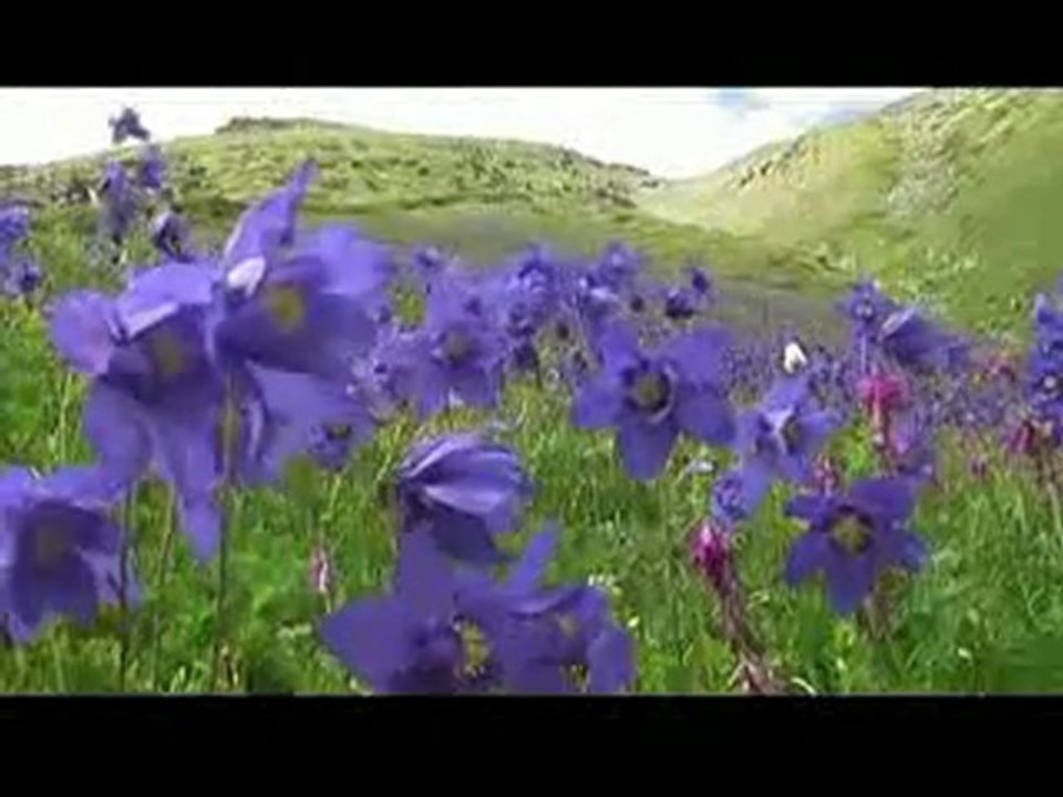 Altai- Kai/ Alkıştar