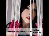 Akn Unl ft. Hande Yener - Sopa (Remix)