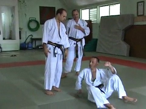 révision Nihon Tai-Jitsu: retourner quelqu'un avec une clé