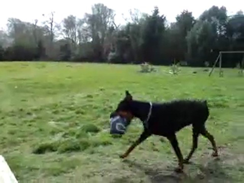 boxy va mieux :-)24.03.10